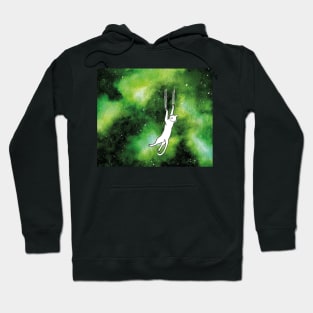 Catastrophe - If Cats Could They Would Destroy The Universe Hoodie